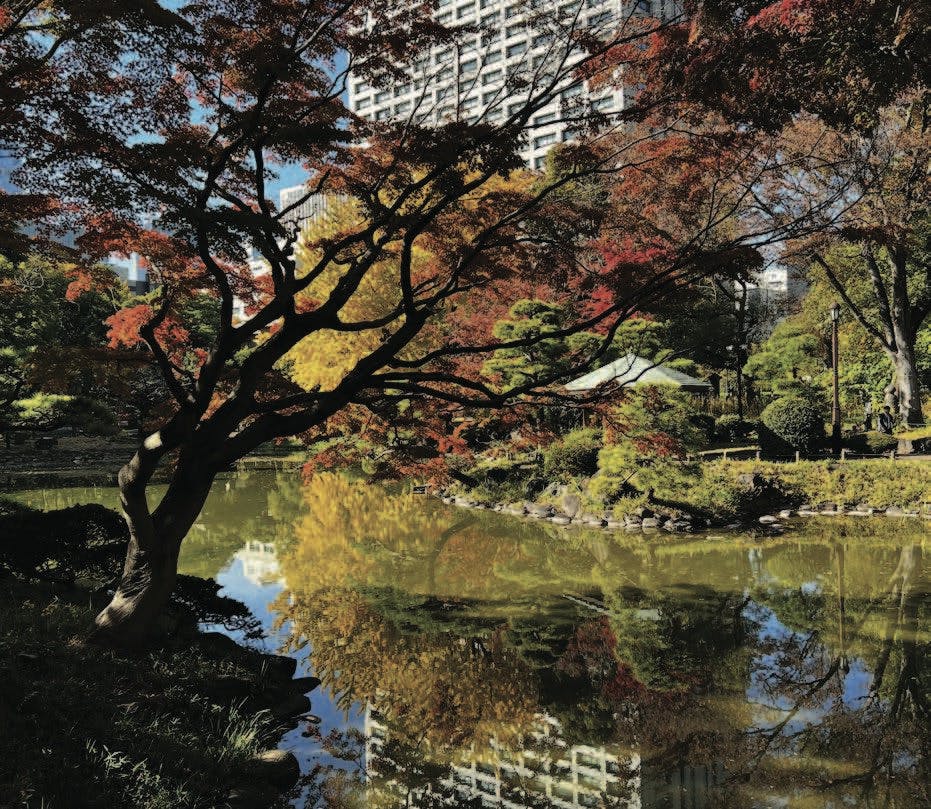 Abode Issue 72 Image1