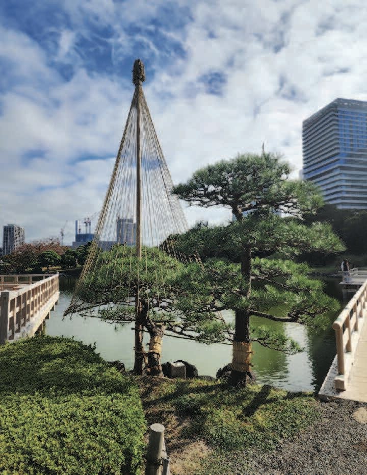 Abode Issue 74 Mar Apr 2025 RMM v1