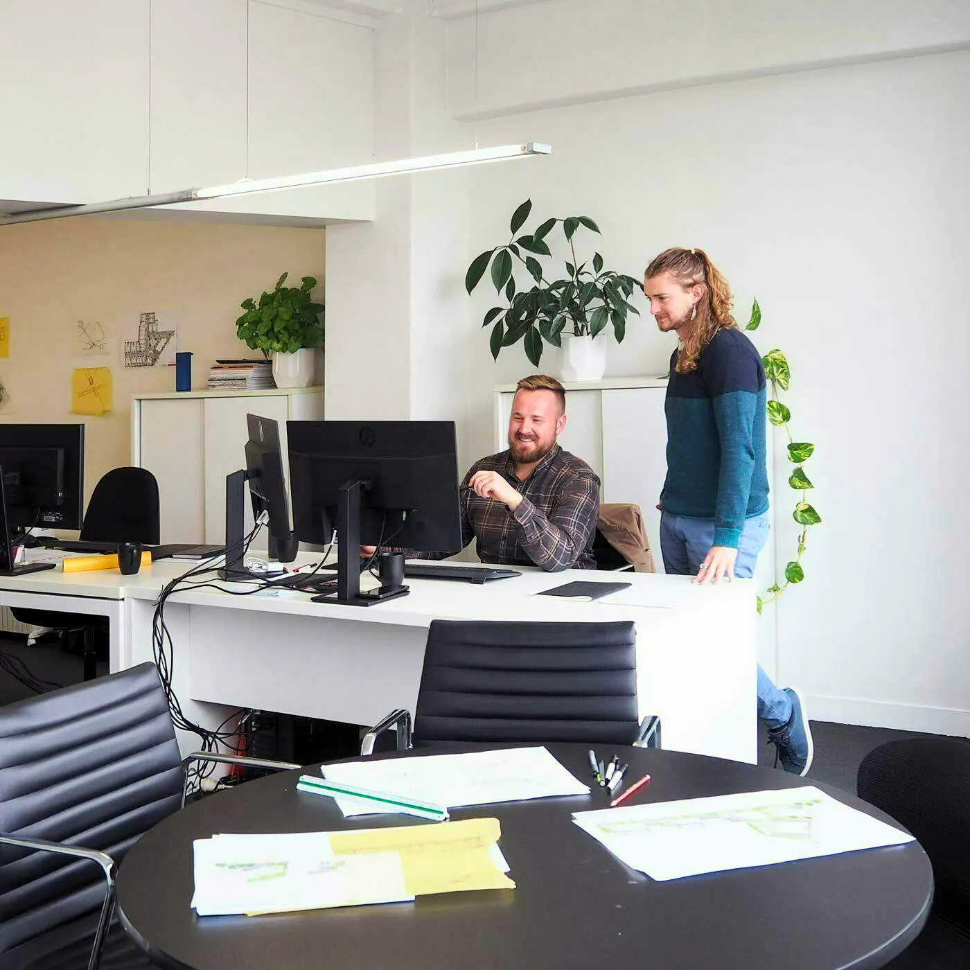 Auckland Studio