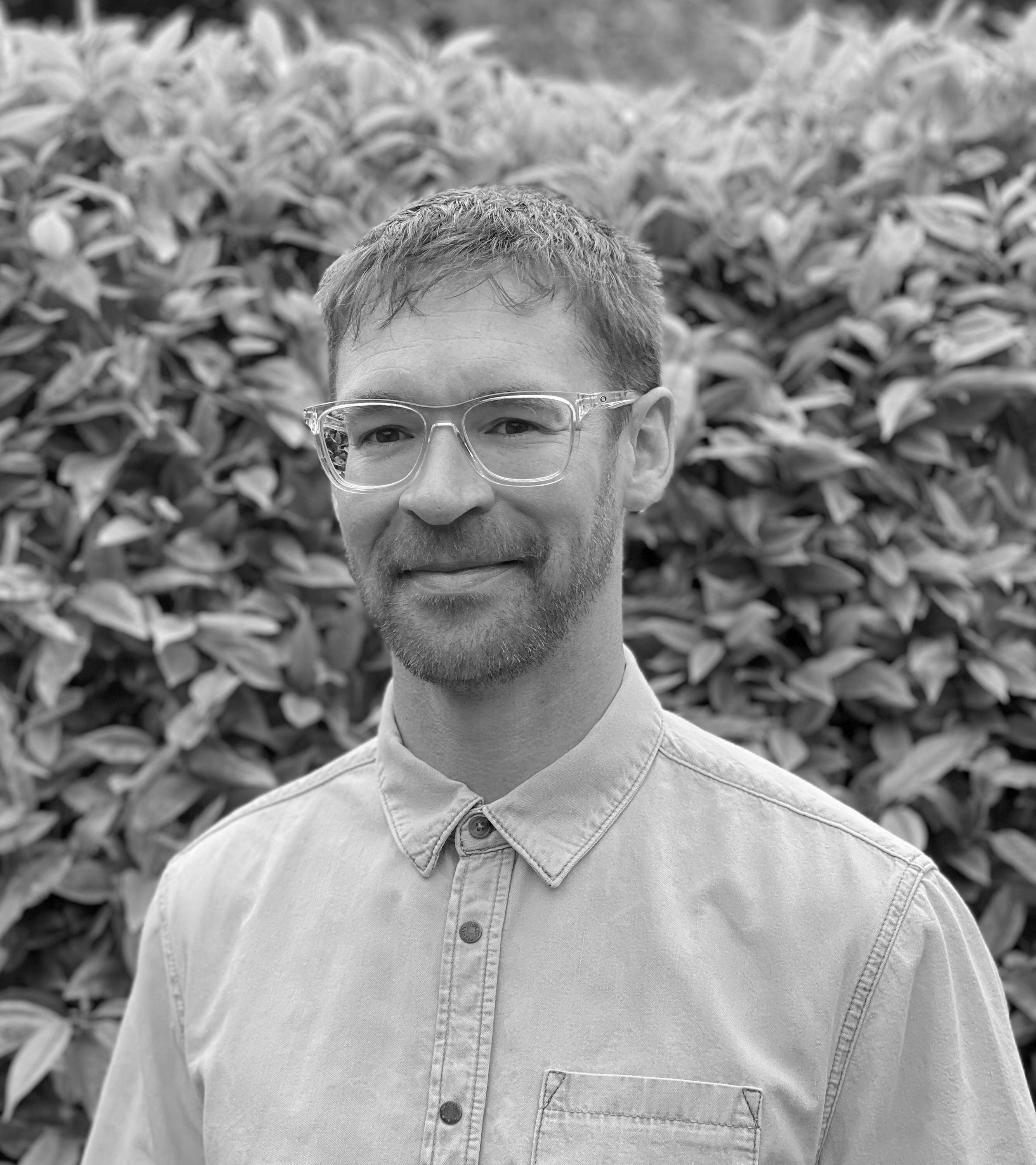 DR Profile BW