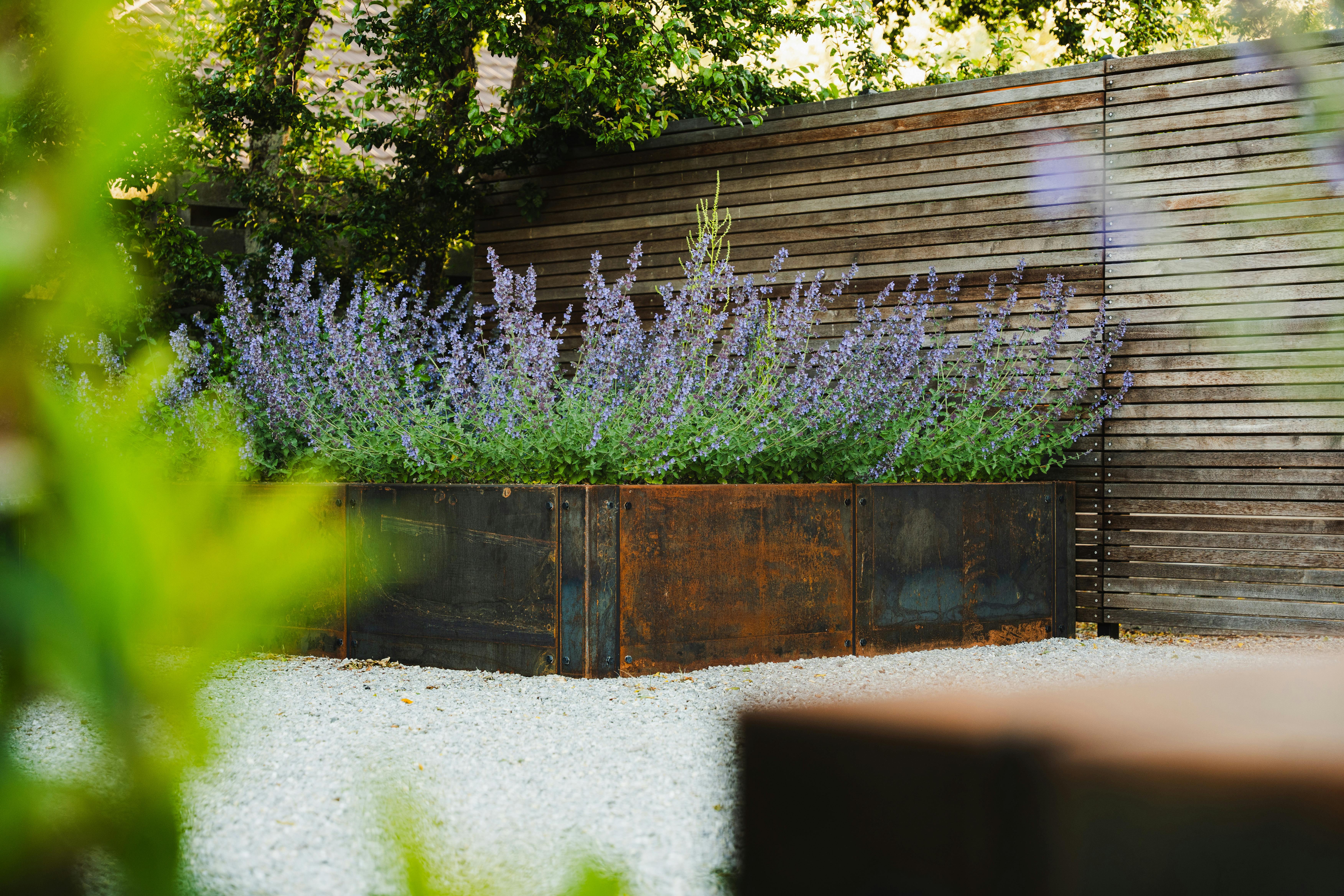 Dublin Bay 11 Reduced