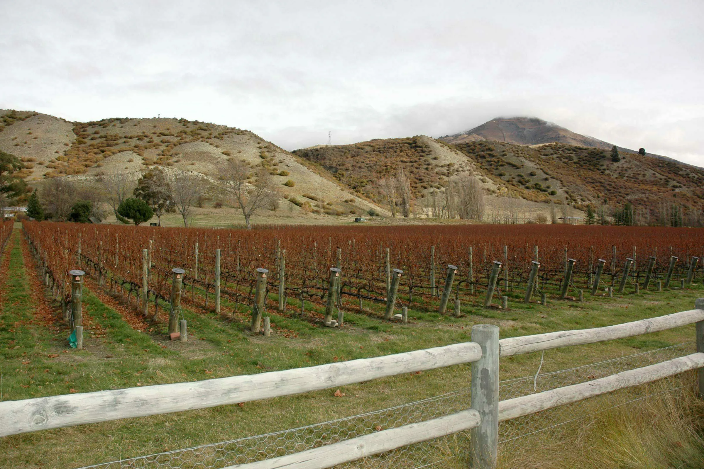 Gibbston Vallery 02