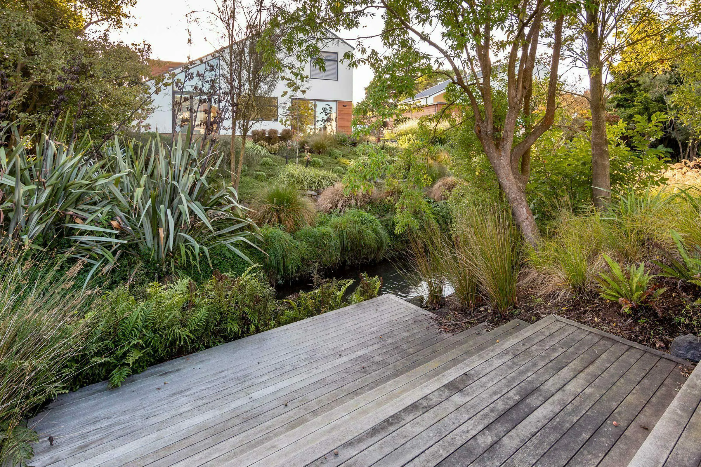 Puriri 05