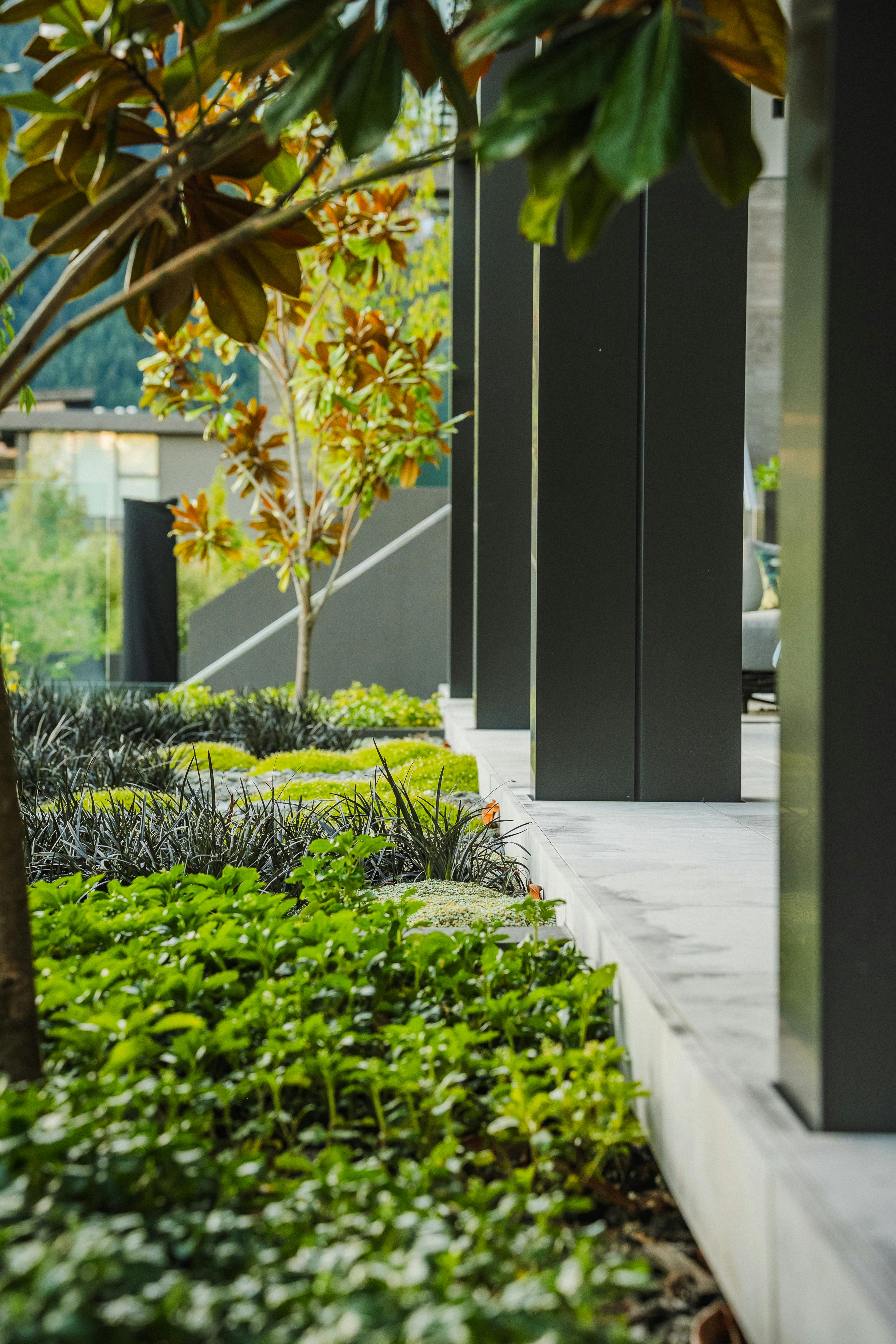 Tim Shoultz Photography 7204