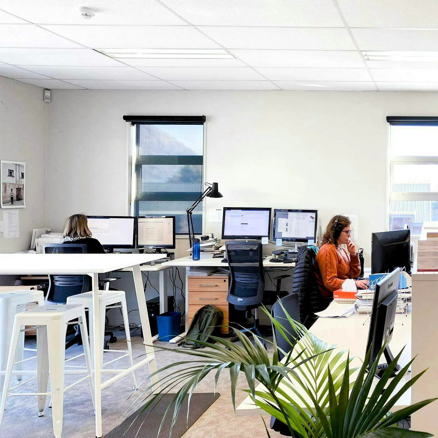 Wanaka Studio